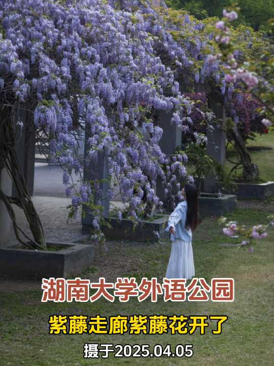 L(zhng)ɳκϴW(xu)ӢZ(y)@ٲ@G`پʥصFֱ_(d)L(zhng)ɳκϴW(xu)ٻ_(ki)